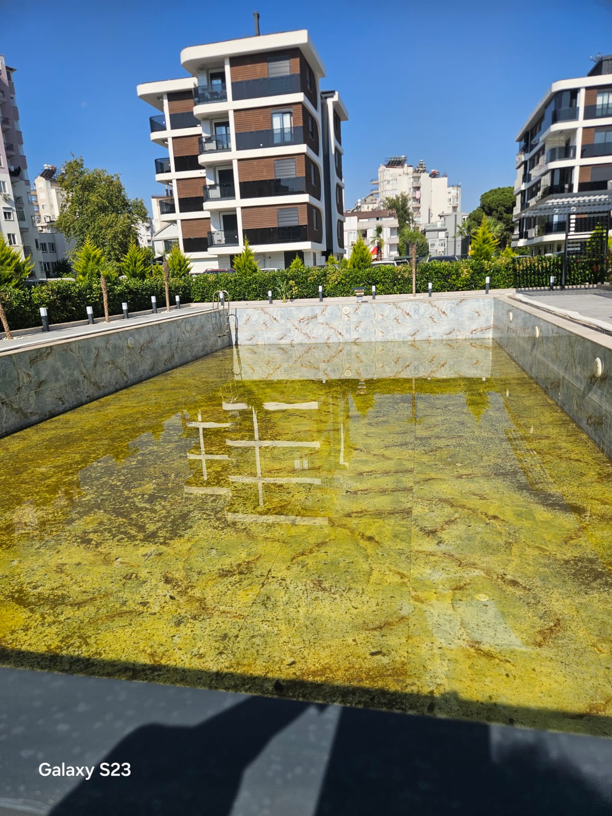 Antalya havuz suyu yeşerme problemi temizlik öncesi